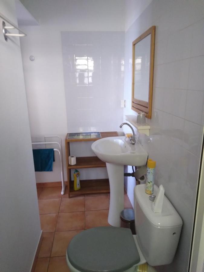 Studio Aux Avirons Pour 2 Personnes, Avec Piscine Les Avirons Exteriér fotografie